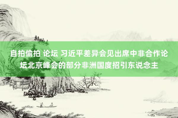 自拍偷拍 论坛 习近平差异会见出席中非合作论坛北京峰会的部分非洲国度招引东说念主